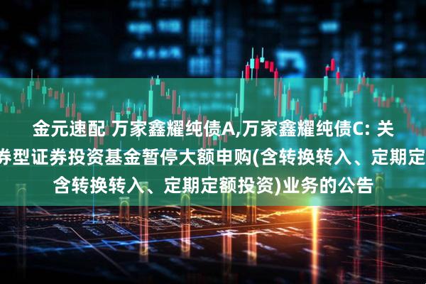 金元速配 万家鑫耀纯债A,万家鑫耀纯债C: 关于万家鑫耀纯债债券型证券投资基金暂停大额申购(含转换转入、定期定额投资)业务的公告