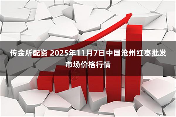 传金所配资 2025年11月7日中国沧州红枣批发市场价格行情