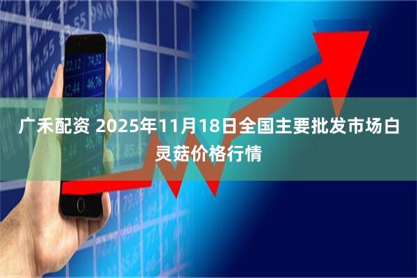 广禾配资 2025年11月18日全国主要批发市场白灵菇价格行情