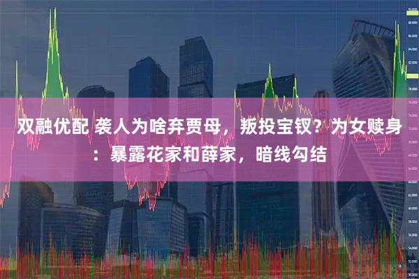 双融优配 袭人为啥弃贾母，叛投宝钗？为女赎身：暴露花家和薛家，暗线勾结