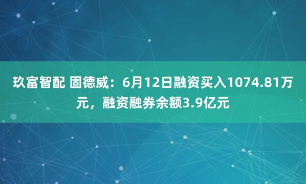 玖富智配 固德威：6月12日融资买入1074.81万元，融资融券余额3.9亿元