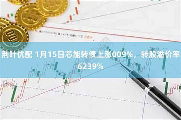 荆叶优配 1月15日芯能转债上涨009%，转股溢价率6239%