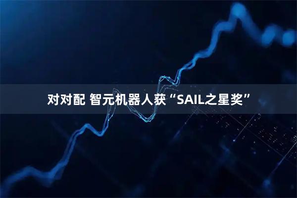 对对配 智元机器人获“SAIL之星奖”