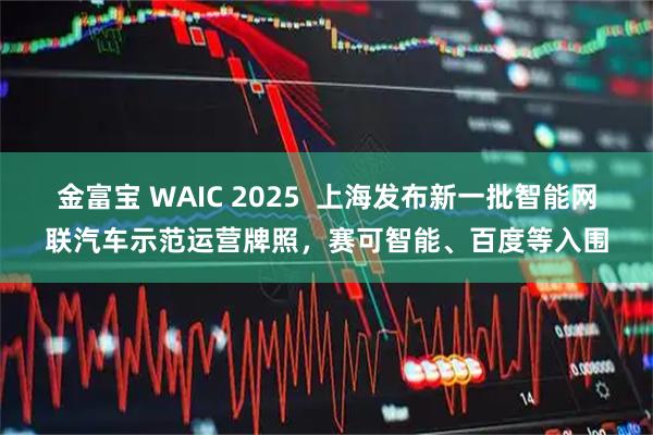 金富宝 WAIC 2025  上海发布新一批智能网联汽车示范运营牌照，赛可智能、百度等入围